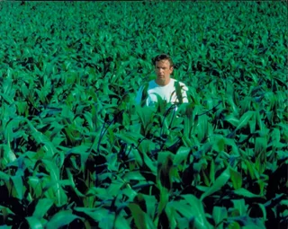 Kevin Costner autograph