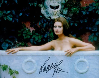 Sophia Loren autograph