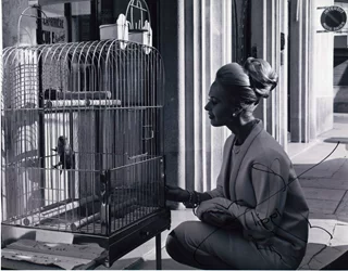 Tippi Hedren autograph