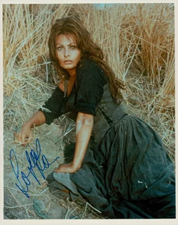 Sophia Loren autograph