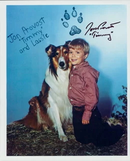 Jon Provost autograph