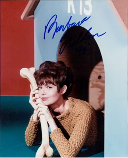 Barbara Feldon autograph