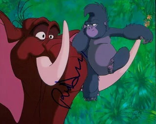 Rosie O'Donnell autograph