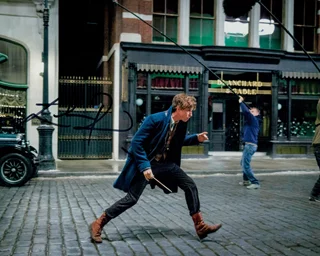 Eddie Redmayne autograph