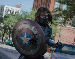 Sebastian Stan autograph