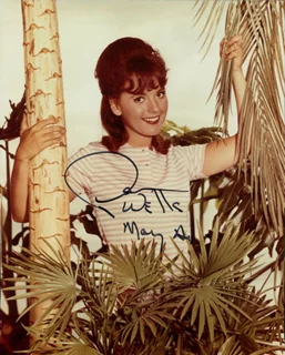 Dawn Wells autograph