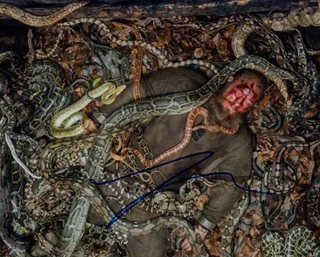 Travis Fimmel autograph