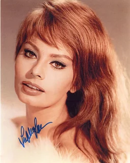 Sophia Loren autograph