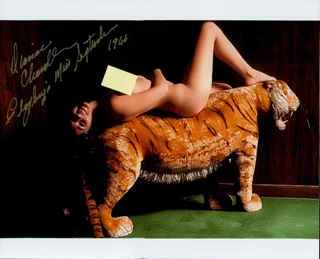 Dianne Chandler autograph