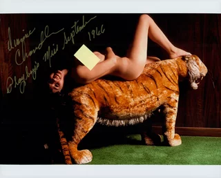 Dianne Chandler autograph