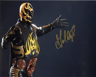 Goldust autograph