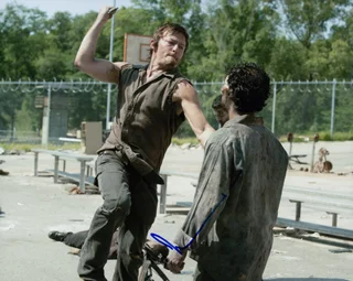 Norman Reedus autograph