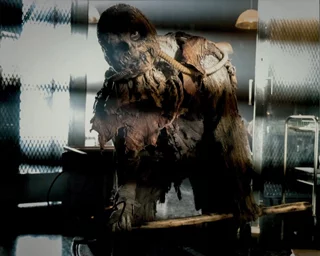 Charlie Tahan autograph