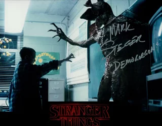 Mark Steger autograph