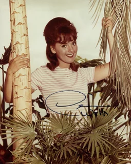 Dawn Wells autograph