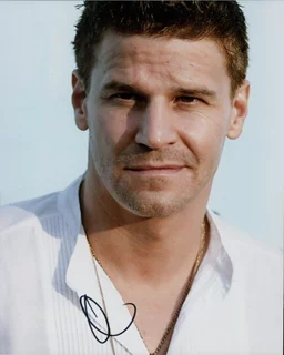 David Boreanaz autograph