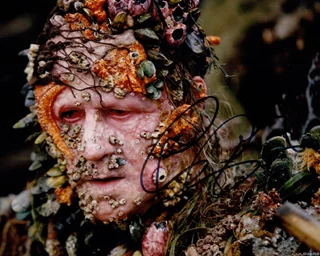 Stellan Skarsgard autograph