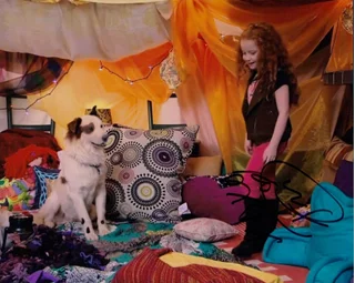 Francesca Capaldi autograph