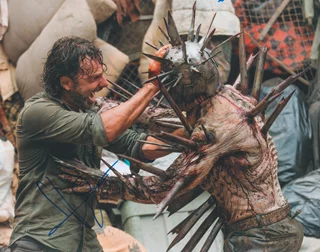 Andrew Lincoln autograph