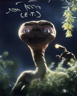 Matthew De Meritt autograph