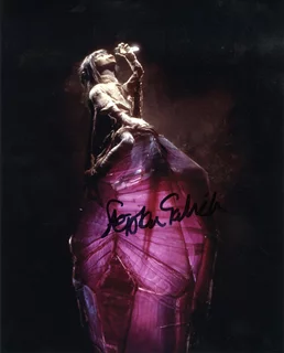 Stephen  Garlick autograph