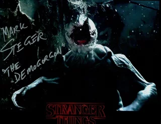 Mark Steger autograph