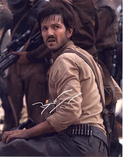 Diego Luna autograph