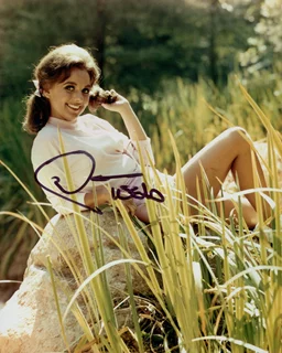 Dawn Wells autograph