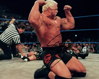 Scott Steiner autograph