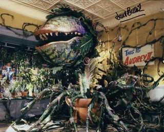 David Bulbeck autograph