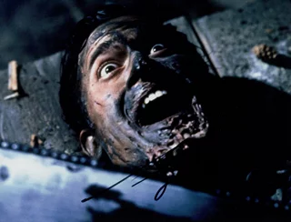 Bruce Campbell autograph