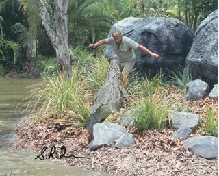 Steve Irwin autograph