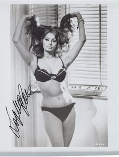 Sophia Loren autograph