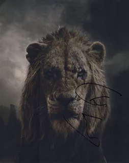 Chiwetel Ejiofor autograph