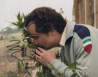 Wagner Moura autograph