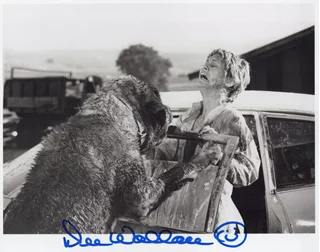 Dee Wallace autograph