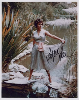 Sophia Loren autograph