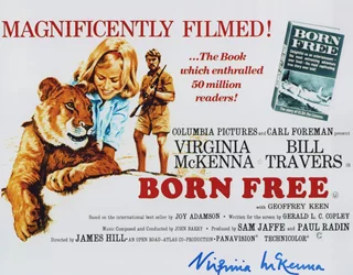 Virginia McKenna autograph