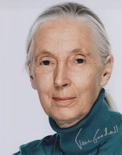 Jane Goodall autograph