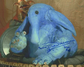 Simon Williamson autograph
