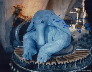 Simon Williamson autograph