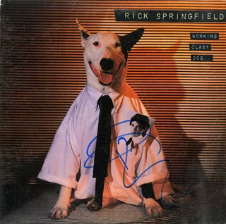 Rick Springfield autograph