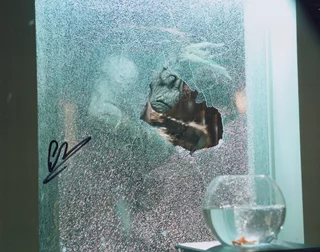 Spencer Wilding autograph