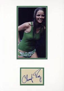 Cheryl Tiegs autograph