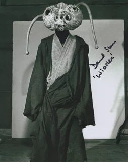 David Stone autograph