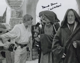 David Stone autograph