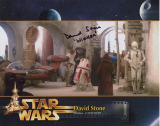 David Stone autograph