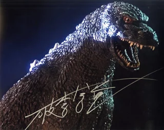 Hurricane Ryu Hariken autograph