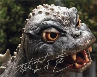 Hurricane Ryu Hariken autograph