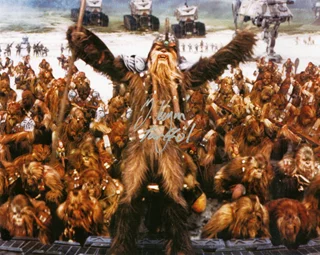 Michael Kingma autograph